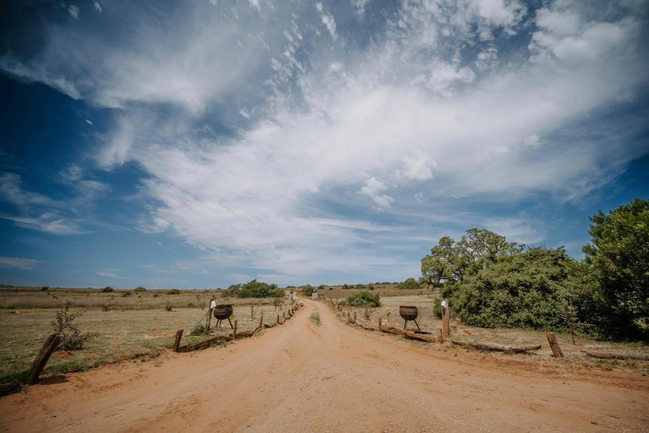 Hlosi Game Lodge - Amakhala Game Reserve Buyskloof Ngoại thất bức ảnh