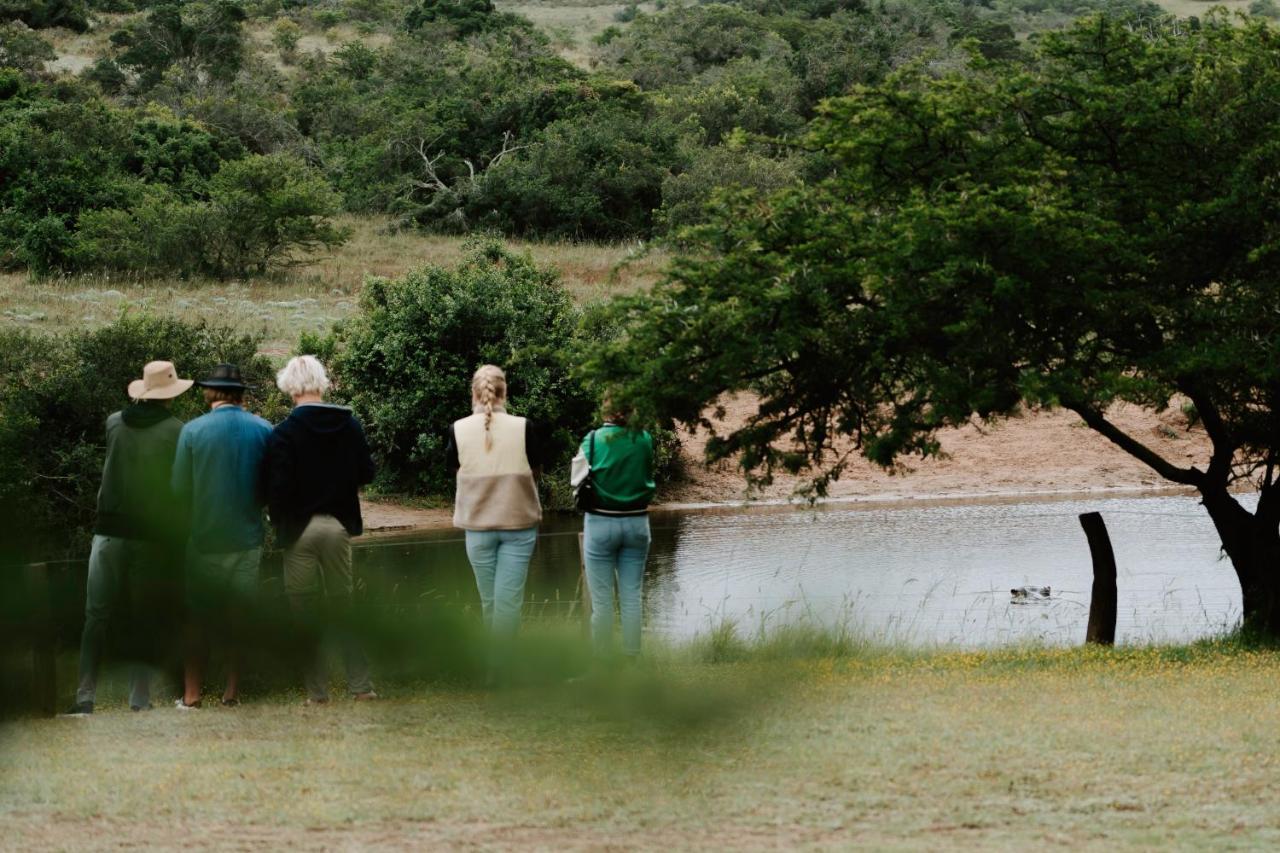 Hlosi Game Lodge - Amakhala Game Reserve Buyskloof Ngoại thất bức ảnh