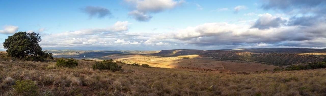 Hlosi Game Lodge - Amakhala Game Reserve Buyskloof Ngoại thất bức ảnh