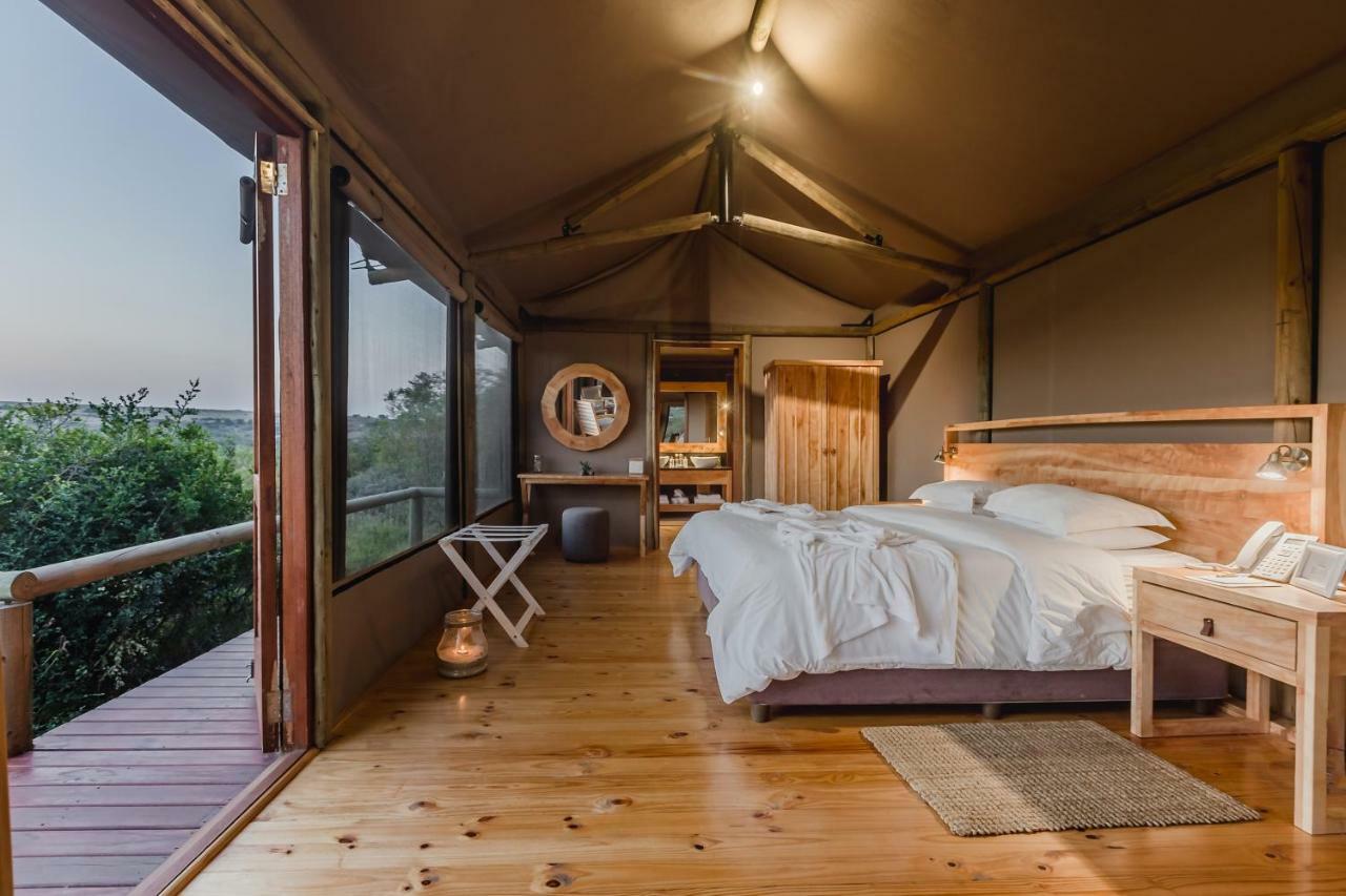 Hlosi Game Lodge - Amakhala Game Reserve Buyskloof Ngoại thất bức ảnh